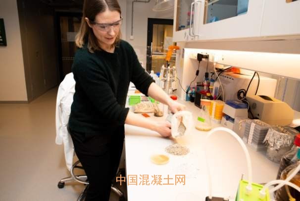 細菌混凝土:減排省錢(qián)兩不誤
